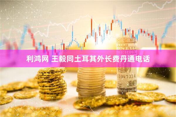 利鸿网 王毅同土耳其外长费丹通电话